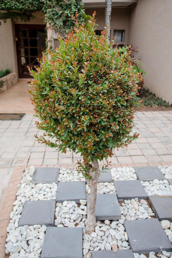 4 Gazelle Guesthouse Mbombela Exterior photo
